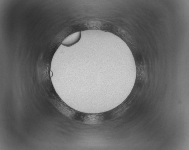 X0000082150717200702092151