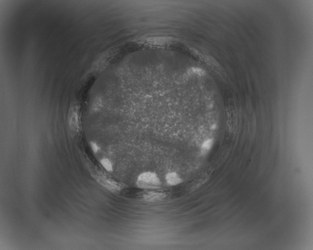 X0000082150718200702092151