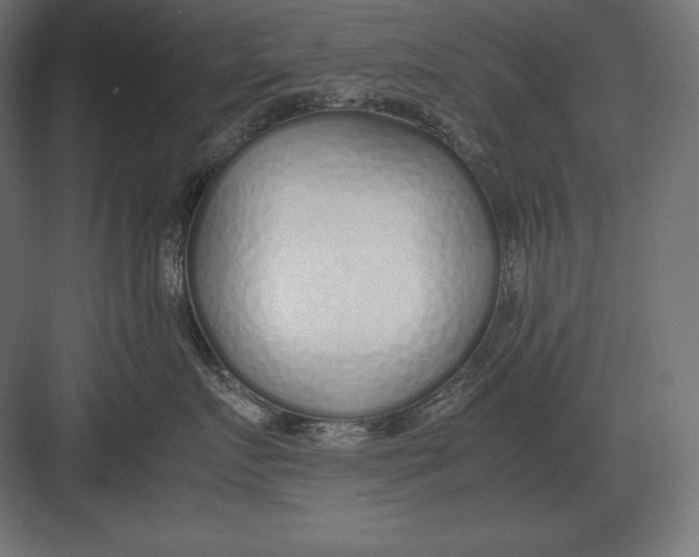 X0000082150719200702092151