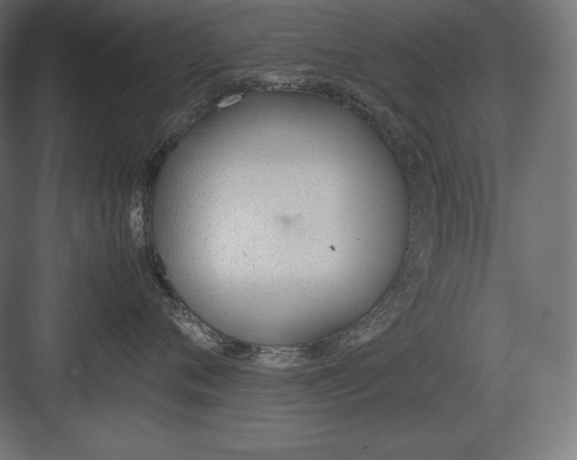 X0000082150720200702092151