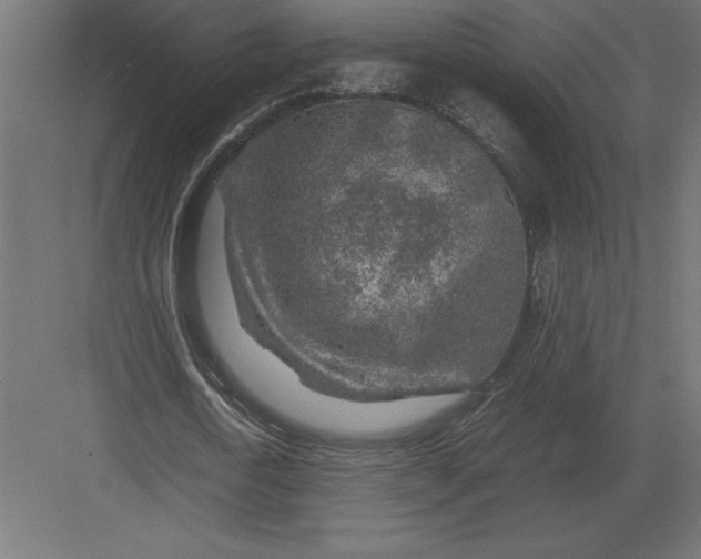 X0000082150722200702092150