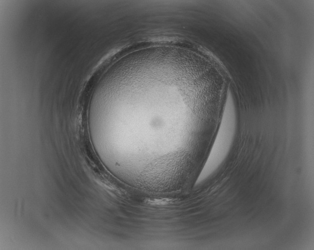 X0000082150723200702092150