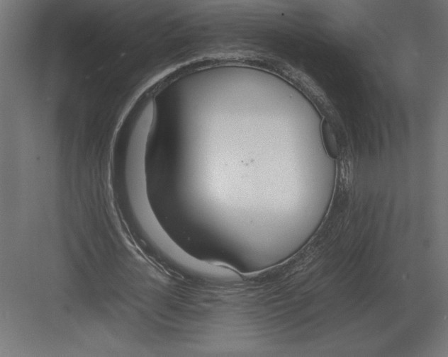 X0000082150724200702092150