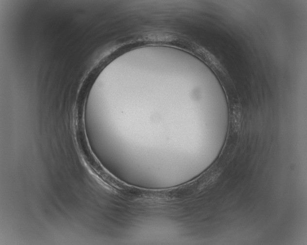 X0000082150726200702092150