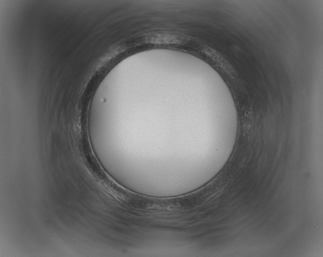 X0000082150727200702092150