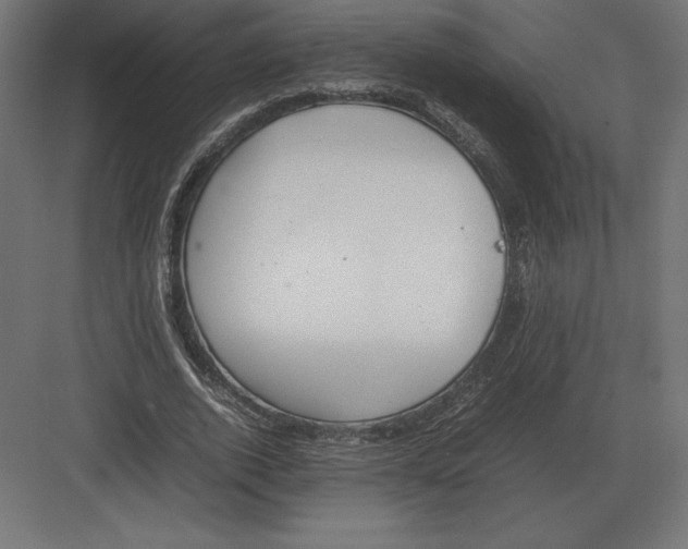 X0000082150728200702092150