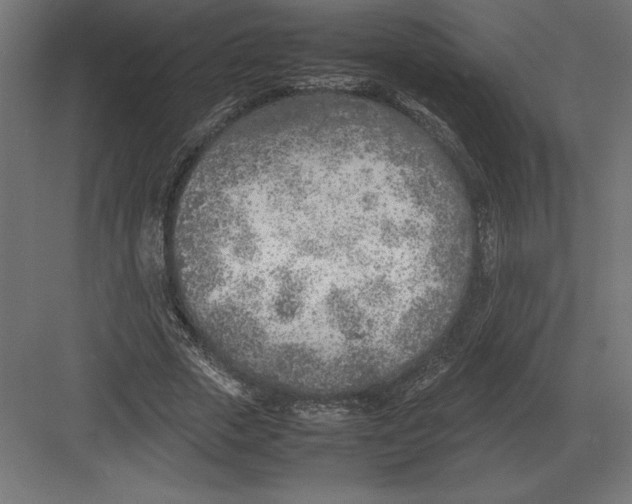 X0000082150729200702092150