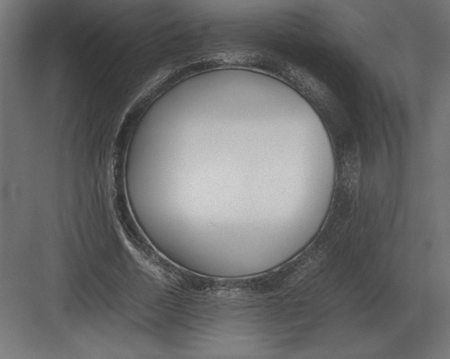 X0000082150730200702092150