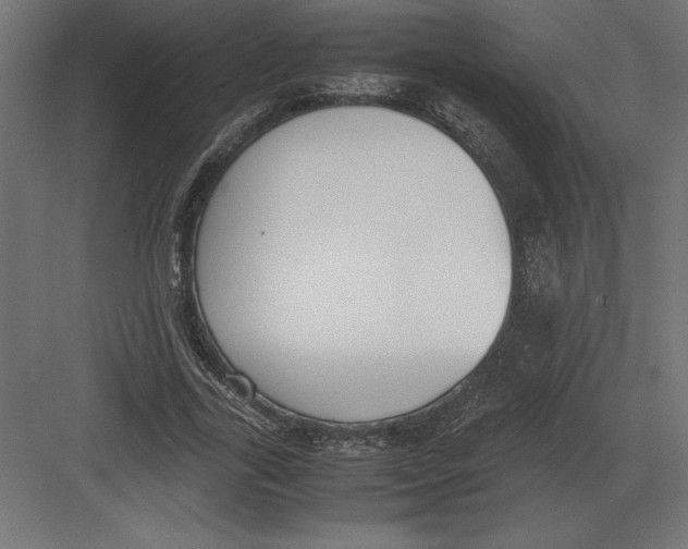 X0000082150731200702092150