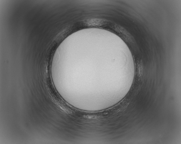 X0000082150733200702092150