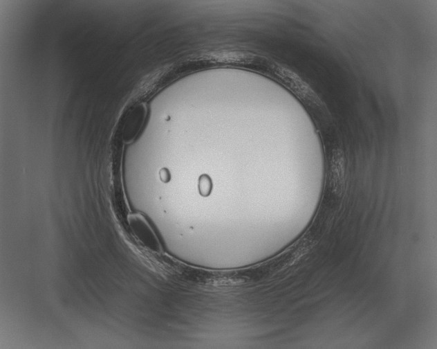 X0000082150734200702092150