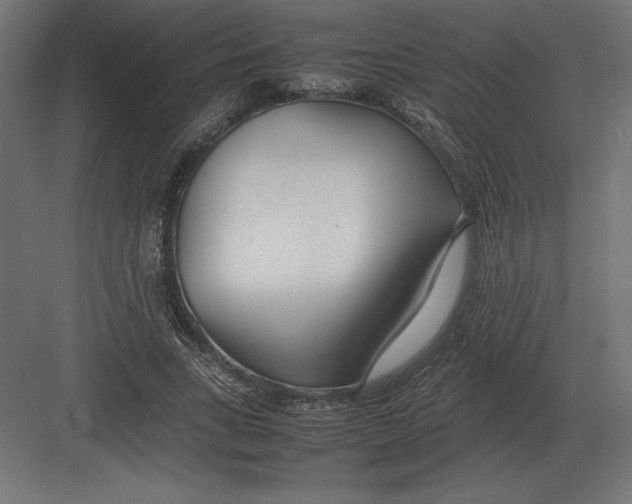 X0000082150735200702092150