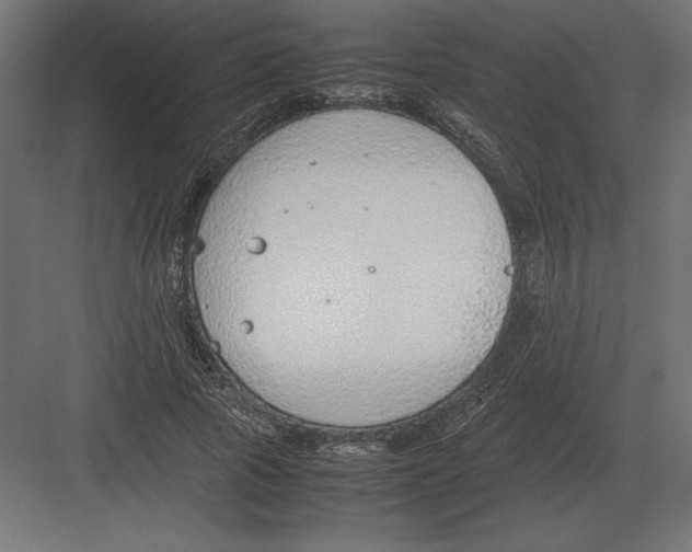 X0000082150737200702092150