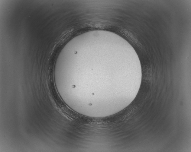 X0000082150738200702092150