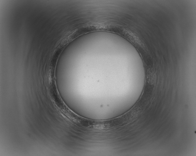 X0000082150740200702092150