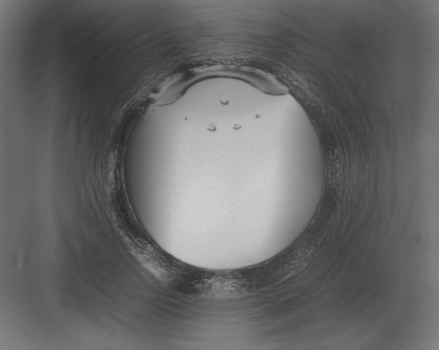 X0000082150742200702092150