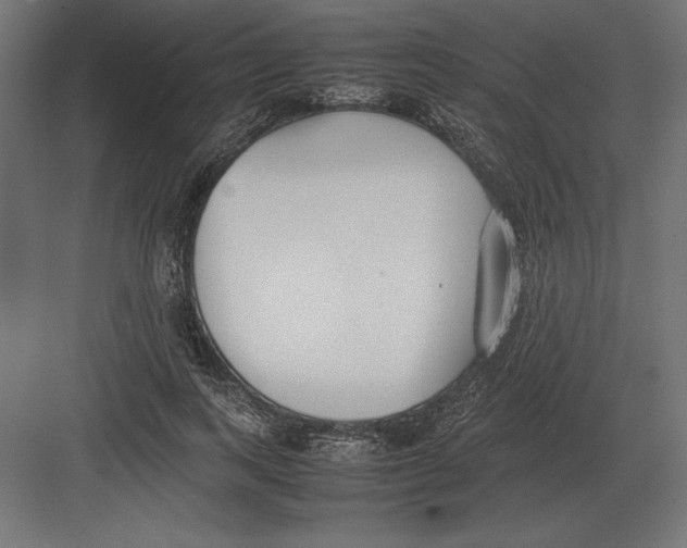 X0000082150743200702092150