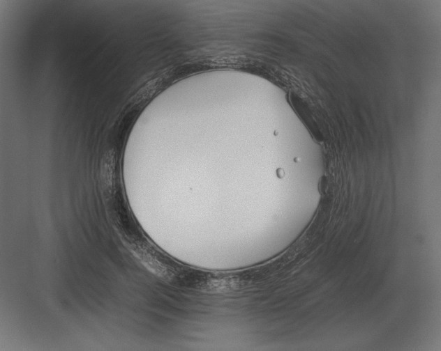 X0000082150744200702092150