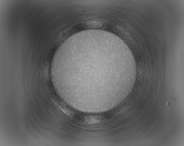 X0000082150745200702092150