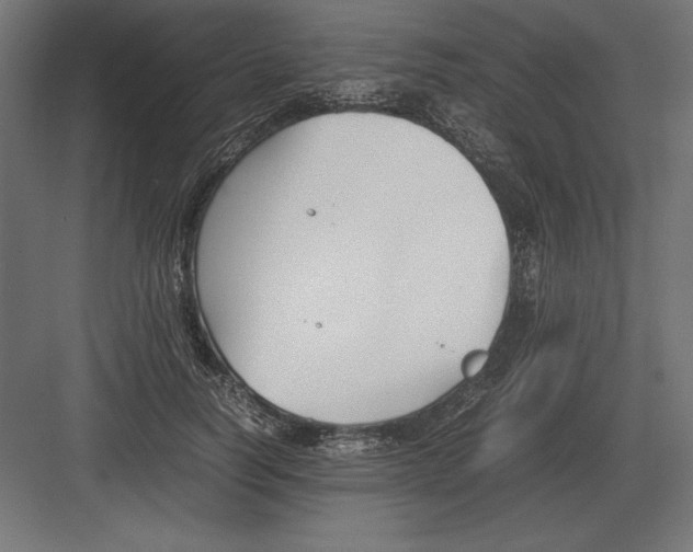 X0000082150746200702092150