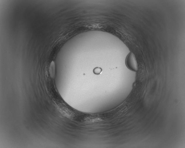 X0000082150747200702092150