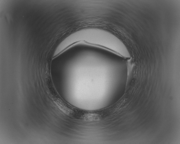 X0000082150748200702092150