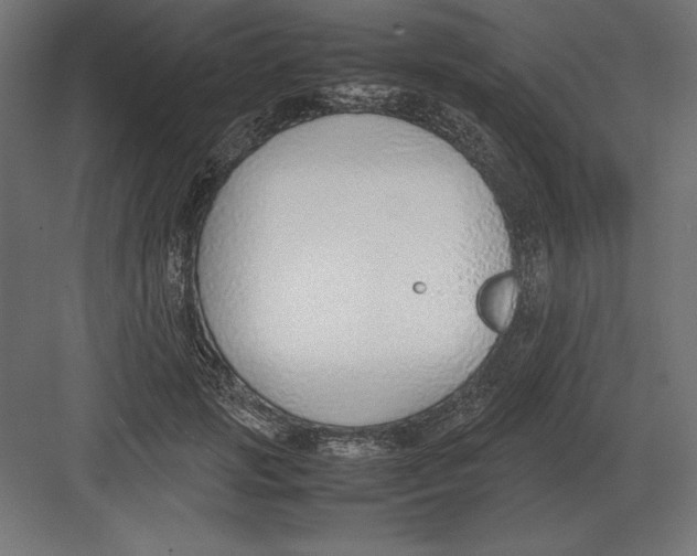 X0000082150749200702092151