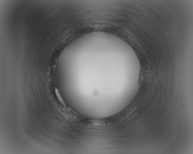 X0000082150750200702092151