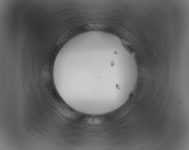 X0000082150751200702092151