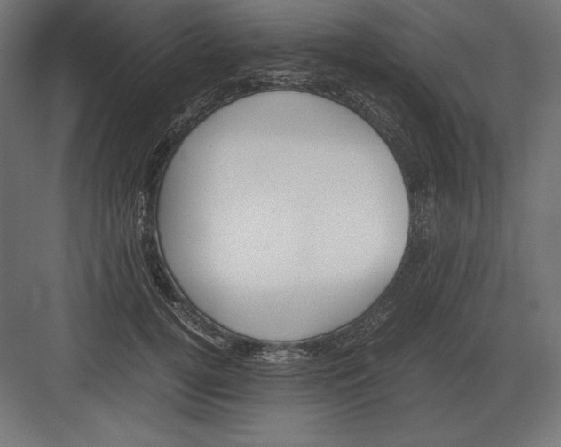 X0000082150752200702092151