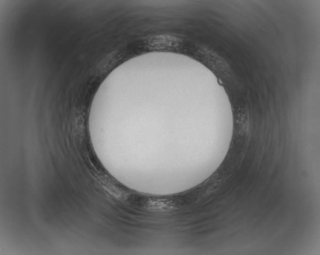 X0000082150753200702092151