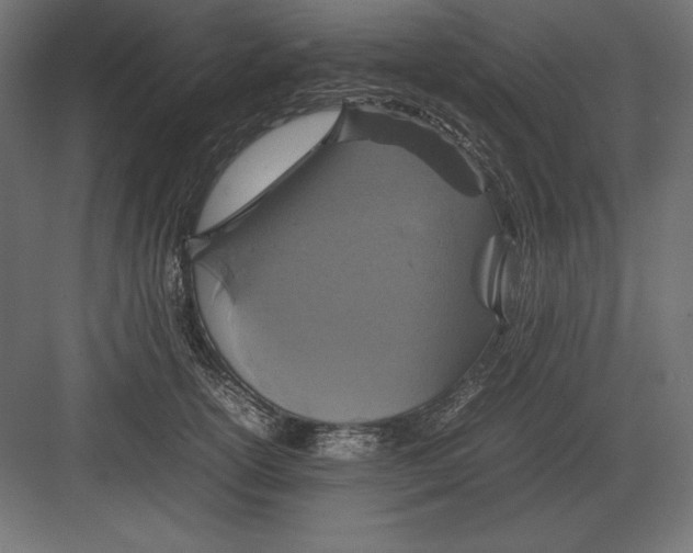 X0000082150754200702092151