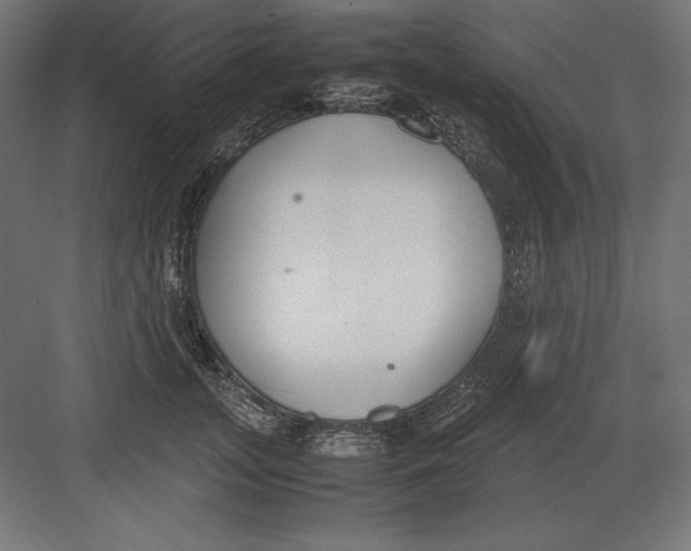 X0000082150755200702092151