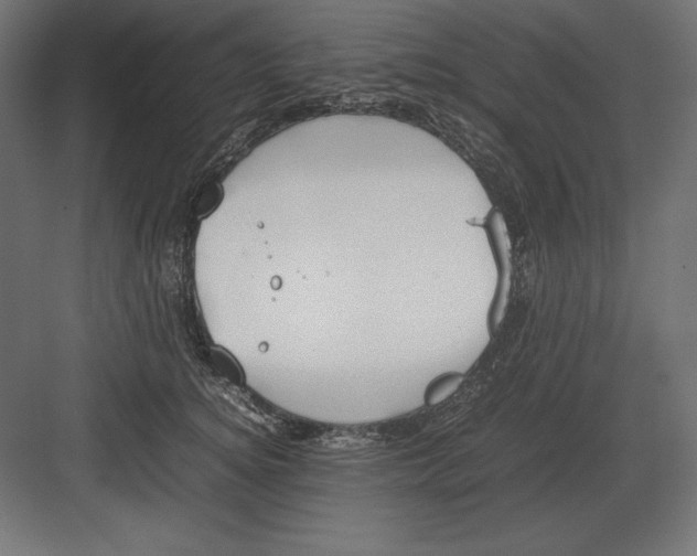 X0000082150756200702092151