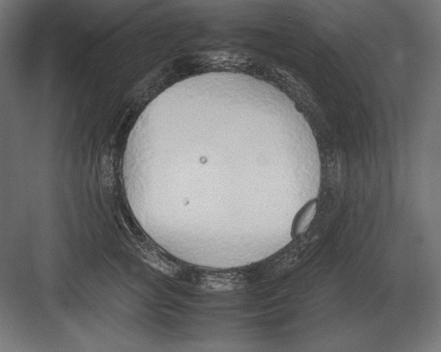 X0000082150757200702092151