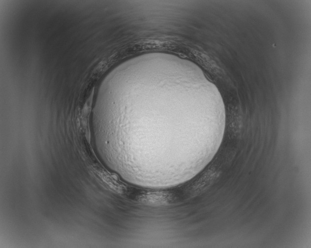 X0000082150758200702092151