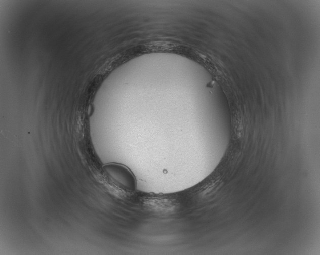 X0000082150759200702092151