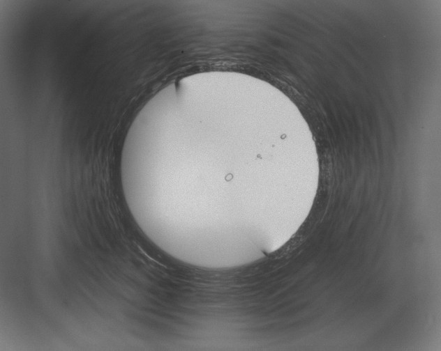 X0000082150760200702092151