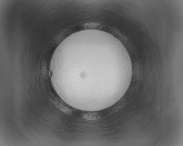 X0000082150761200702092151