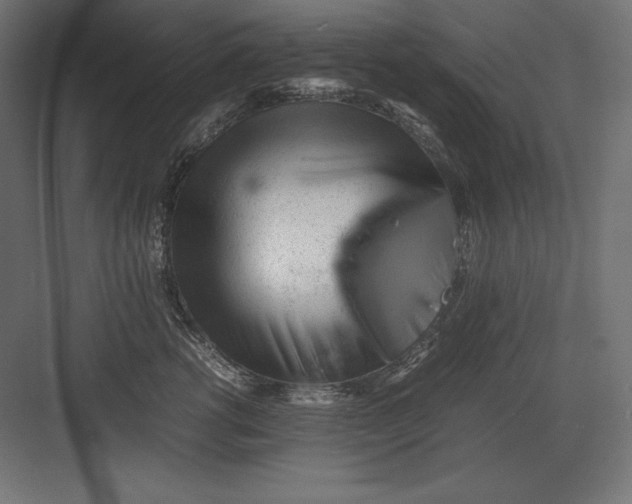 X0000082150762200702092151