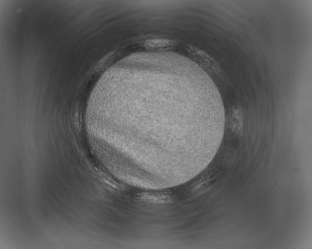 X0000082150763200702092151