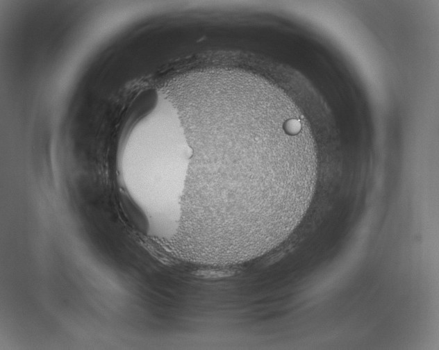 X0000082150765200702092151