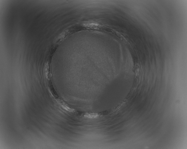 X0000082150767200702092151