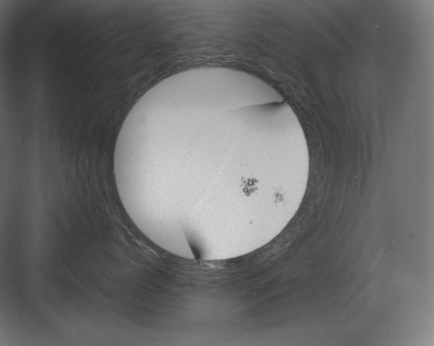 X0000082150768200702092151