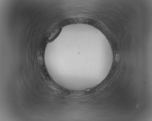 X0000082150771200702092150