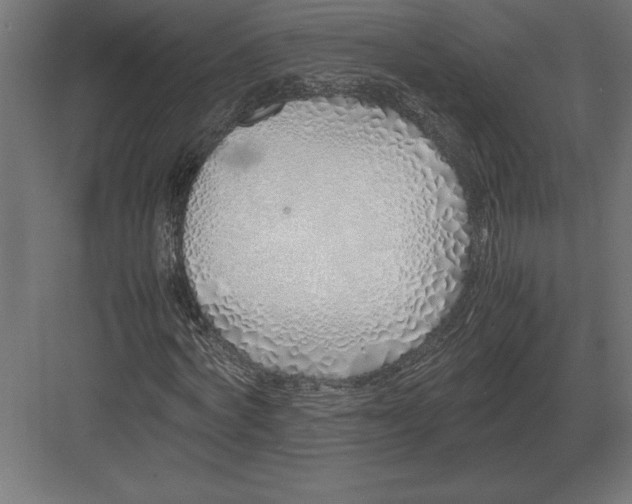 X0000082150772200702092150