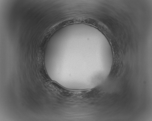 X0000082150773200702092150