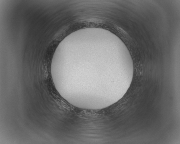 X0000082150774200702092150