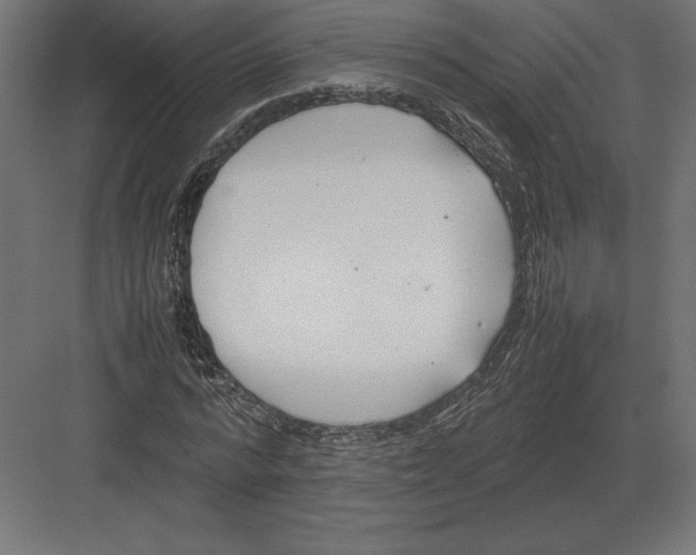 X0000082150776200702092150