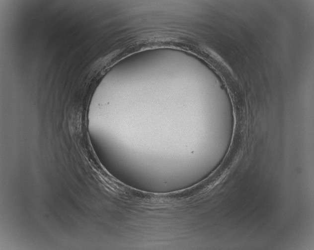 X0000082150777200702092150